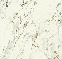 Керамогранит Purity Of Marble 60*60 Capraia 60X60 RT фото 1 | FLOORDEALER