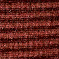 Ковролин Carpet Concept Eco Wool 595024 фото 1 | FLOORDEALER