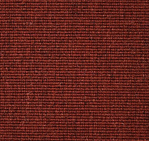 Ковролин Carpet Concept Eco Wool 595024 фото 1 | FLOORDEALER