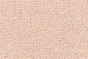 Ковролин Radici Montecarlo 46 фото  | FLOORDEALER