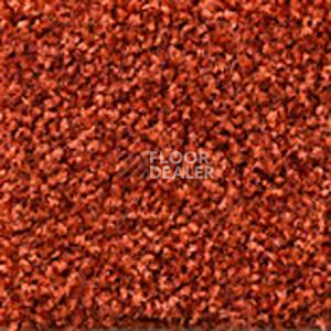 Ковролин Dura Comfort 411 фото 1 | FLOORDEALER