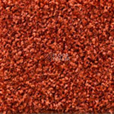 Ковролин Dura Comfort 411 фото 1 | FLOORDEALER