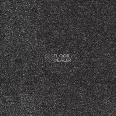 Ковролин AW Sauvage 97 фото 1 | FLOORDEALER