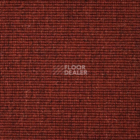 Ковролин Carpet Concept Eco Wool 595024 фото 1 | FLOORDEALER