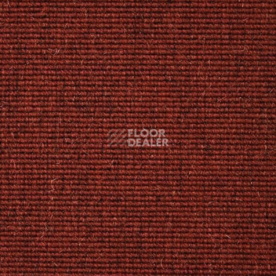 Ковролин Carpet Concept Eco Wool 595024 фото 1 | FLOORDEALER