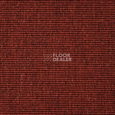 Ковролин Carpet Concept Eco Wool 595024 фото 1 | FLOORDEALER