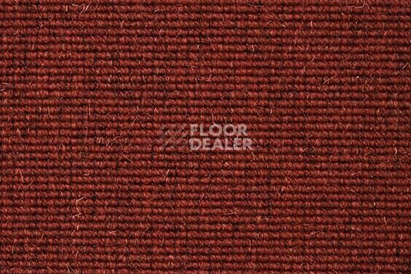 Ковролин Carpet Concept Eco Wool 595024 фото 1 | FLOORDEALER