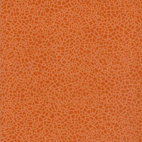 Линолеум Grabo Acoustic 7 Colour 388_665_275 фото 1 | FLOORDEALER