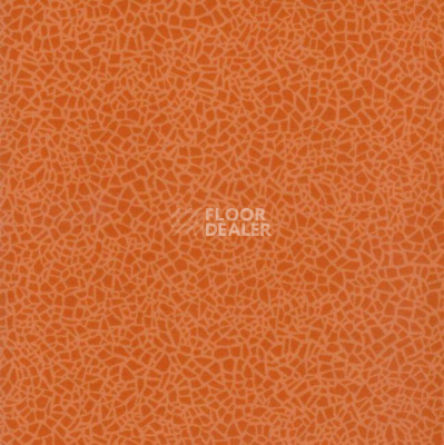 Линолеум Grabo Acoustic 7 Colour 388_665_275 фото 1 | FLOORDEALER