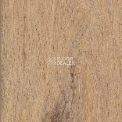 Кварцвиниловые полы Invictus Maximus Plank 2.5 мм Silk Oak Oat фото 1 | FLOORDEALER
