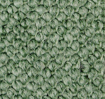 Ковролин Carpet Concept Eco Cut 30004 фото 1 | FLOORDEALER