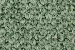 Ковролин Carpet Concept Eco Cut 30004 фото  | FLOORDEALER