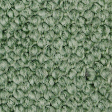 Carpet Concept Eco Cut 30004 фото 1 | FLOORDEALER
