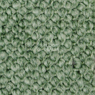 Ковролин Carpet Concept Eco Cut 30004 фото 1 | FLOORDEALER