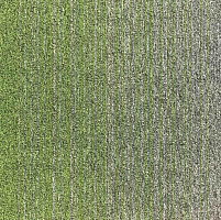 Ковровая плитка Escom Object Art 638 4273 фото 1 | FLOORDEALER