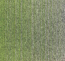 Ковровая плитка Escom Object Art 638 4273 фото 1 | FLOORDEALER