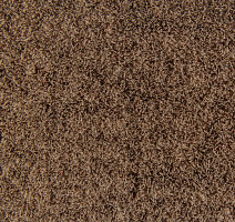 Flotex Colour s 482015 Penang Beige фото 2 | FLOORDEALER