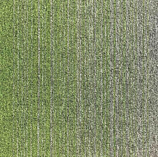 Ковровая плитка Escom Object Art 638 4273 фото 1 | FLOORDEALER