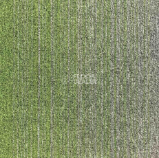 Ковровая плитка Escom Object Art 638 4273 фото 1 | FLOORDEALER