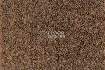 Forbo Flotex Colour s 482015 Penang Beige фото 2 | FLOORDEALER