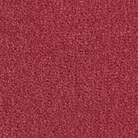 Ковролин Balsan Majestic 555 фото 1 | FLOORDEALER