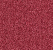 Ковролин Balsan Majestic 555 фото 1 | FLOORDEALER