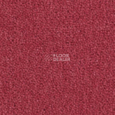 Ковролин Balsan Majestic 555 фото 1 | FLOORDEALER