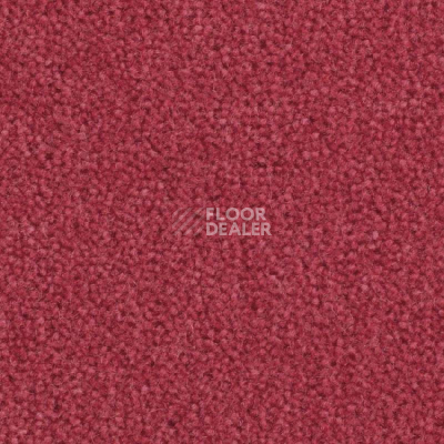 Ковролин Balsan Majestic 555 фото 1 | FLOORDEALER