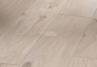 Ламинат Parador Basic Plus 400 V 1593798 Дуб Натурально-серый фото 1 | FLOORDEALER