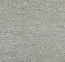 Линолеум Tarkett Alfa Standard Alfa 101 фото 1 | FLOORDEALER