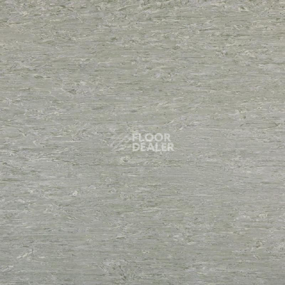 Линолеум Tarkett Alfa Standard Alfa 101 фото 1 | FLOORDEALER