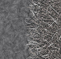 Ковролин Flotex by Starck Vortex 312001 Vortex White a2 фото 1 | FLOORDEALER