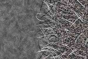 Ковролин Flotex by Starck Vortex 312001 Vortex White a2 фото  | FLOORDEALER