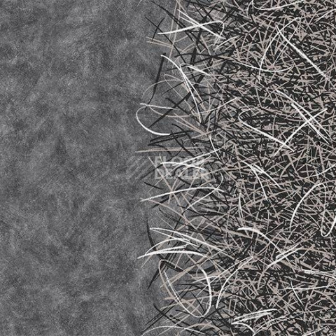 Ковролин Forbo Flotex by Starck Vortex 312001 Vortex White a2 фото 1 | FLOORDEALER