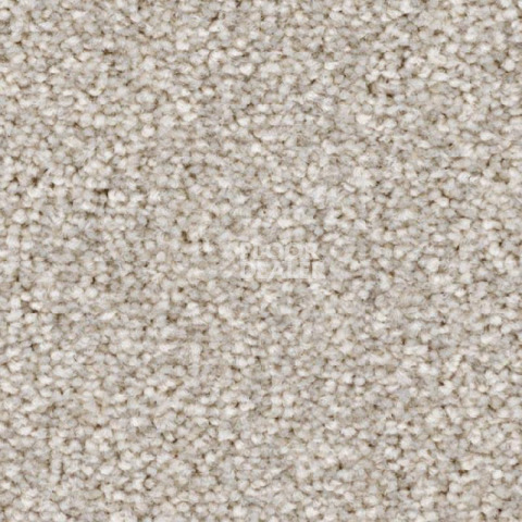 Ковролин Balsan First Class 710 фото 1 | FLOORDEALER