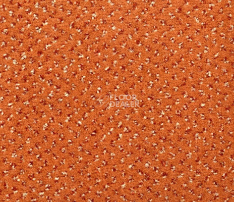 Ковролин Big Venezia 474 фото 1 | FLOORDEALER