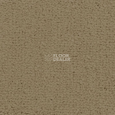Ковролин Balsan Embleme 630 фото 1 | FLOORDEALER