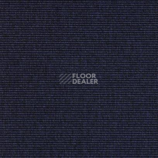 Ковролин Carpet Concept Eco 1 6607 фото 1 | FLOORDEALER