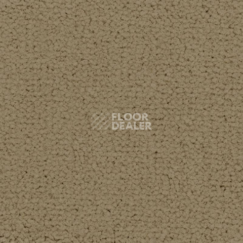 Ковролин Balsan Embleme 630 фото 1 | FLOORDEALER