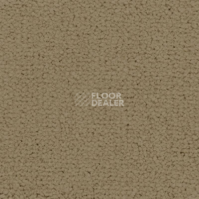 Ковролин Balsan Embleme 630 фото 1 | FLOORDEALER