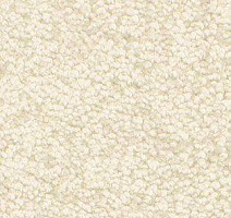 Ковролин AW Gaia Solstice 03 фото 1 | FLOORDEALER