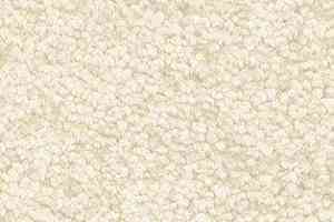 Ковролин AW Gaia Solstice 03 фото  | FLOORDEALER