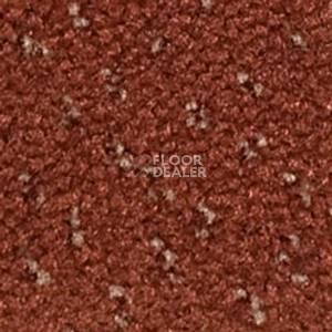 Ковролин Infloor Como 700 фото 1 | FLOORDEALER