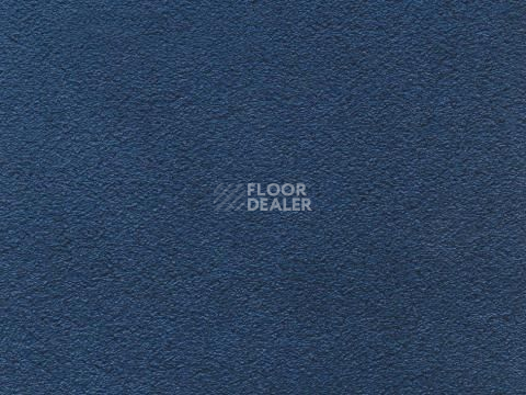 Ковролин In-Tense 74 фото 1 | FLOORDEALER