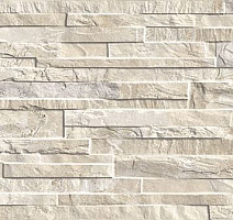 Керамогранит Arcalis 389 Beige 32x89 фото 1 | FLOORDEALER