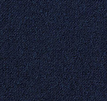 Ковролин Desso Essence-Brlm 3841 фото 1 | FLOORDEALER