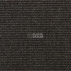 Ковролин Carpet Concept Eco Iqu 54444 фото 1 | FLOORDEALER