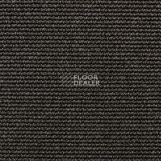 Ковролин Carpet Concept Eco Iqu 54444 фото 1 | FLOORDEALER