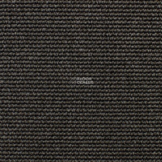 Carpet Concept Eco Iqu 54444 фото 1 | FLOORDEALER