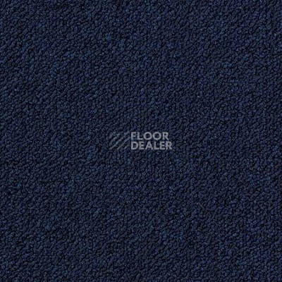 Ковролин Desso Essence-Brlm 3841 фото 1 | FLOORDEALER